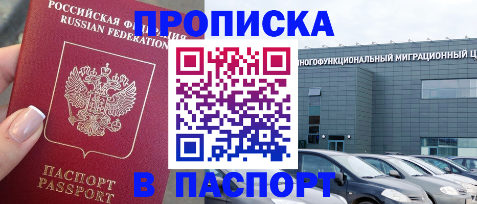 прописка для школы в Звенигово